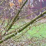 Az.agr.cascina Moretta Bauernhof