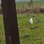 Séjour à la ferme Az.agr.cascina Moretta *