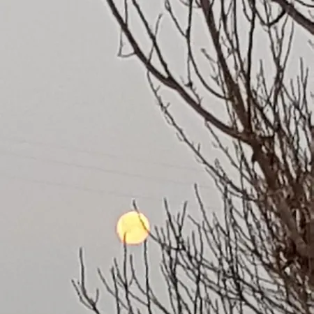 Farma Az.agr.cascina Moretta