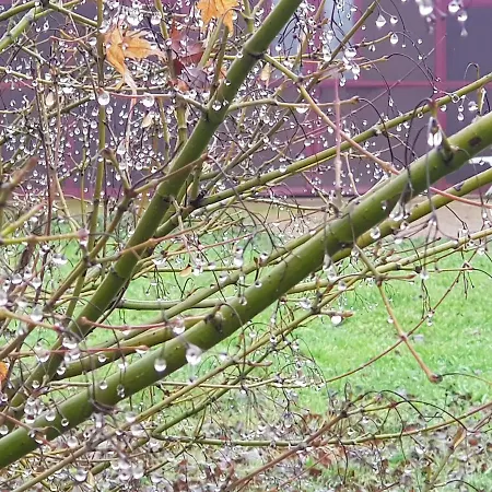 Az.agr.cascina Moretta Farm stay