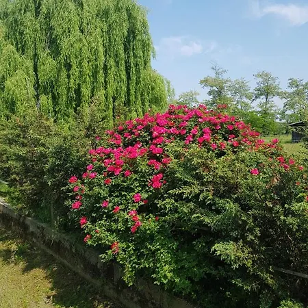 Az.agr.cascina Moretta