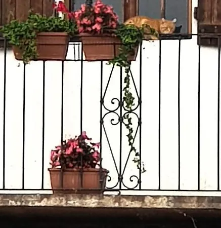 Az.agr.cascina Moretta