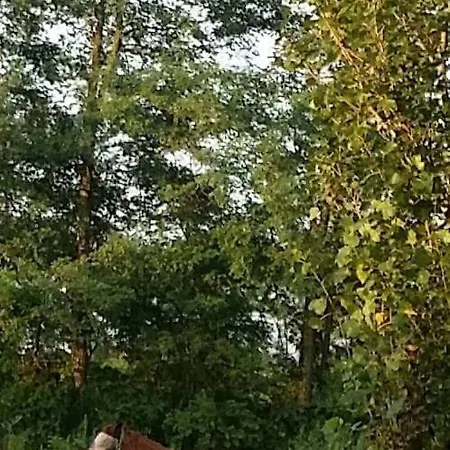 Az.agr.cascina Moretta Farma Momo