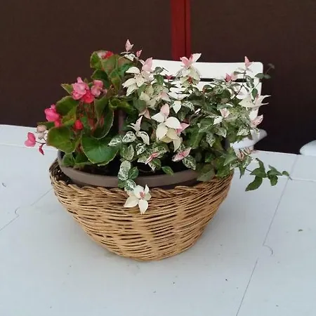 Farma Az.agr.cascina Moretta