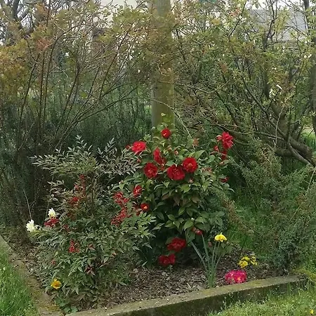 팜스테이 Az.agr.cascina Moretta