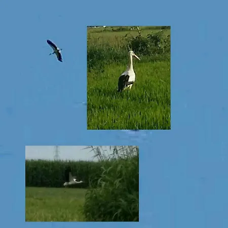 Az.agr.cascina Moretta * Momo