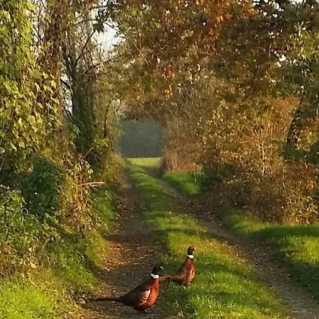 Az.agr.cascina Moretta Farma *