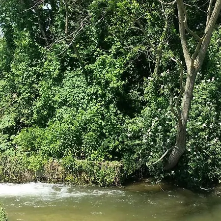 Farma Az.agr.cascina Moretta *