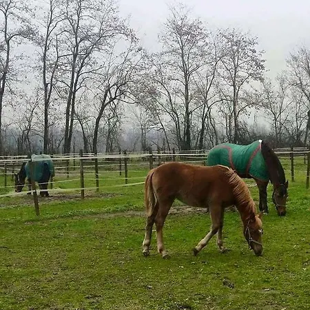 팜스테이 Az.agr.cascina Moretta *