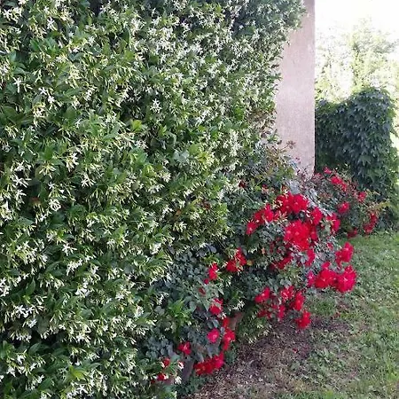 Farma Az.agr.cascina Moretta *