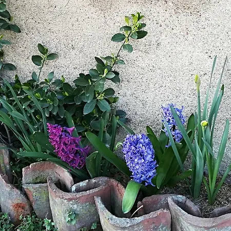 Farma Az.agr.cascina Moretta Momo