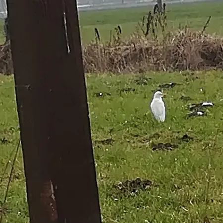 Farma Az.agr.cascina Moretta *