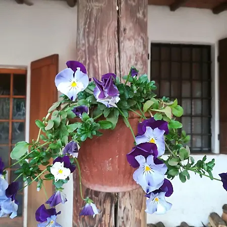 Farm stay Az.agr.cascina Moretta *