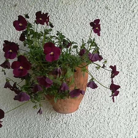 Farm stay Az.agr.cascina Moretta *