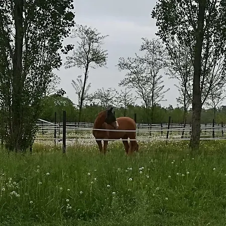 Az.agr.cascina Moretta Farma