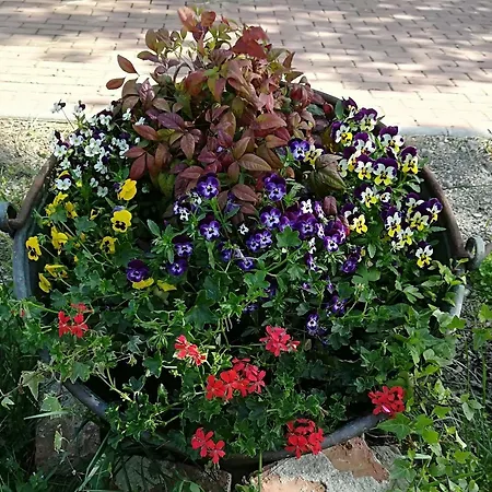 Az.agr.cascina Moretta *