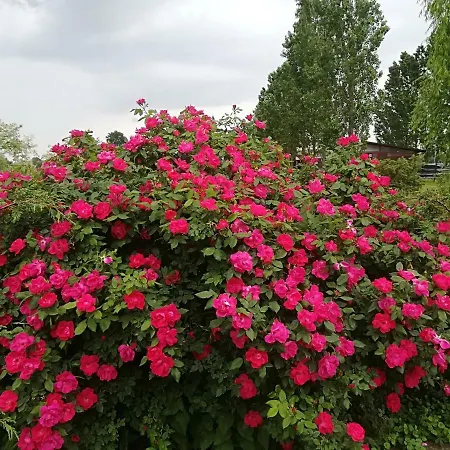 Az.agr.cascina Moretta