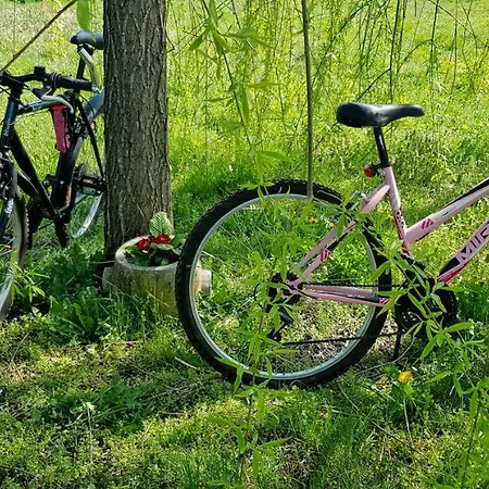 Alojamento de Turismo Rural Az.agr.cascina Moretta