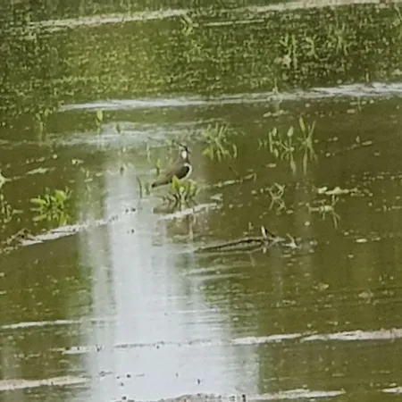 Farma Az.agr.cascina Moretta *