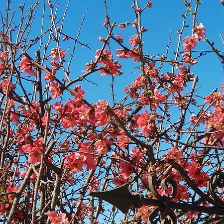 Az.agr.cascina Moretta