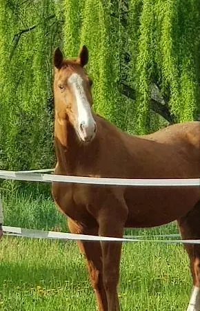 Az.agr.cascina Moretta 팜스테이 *