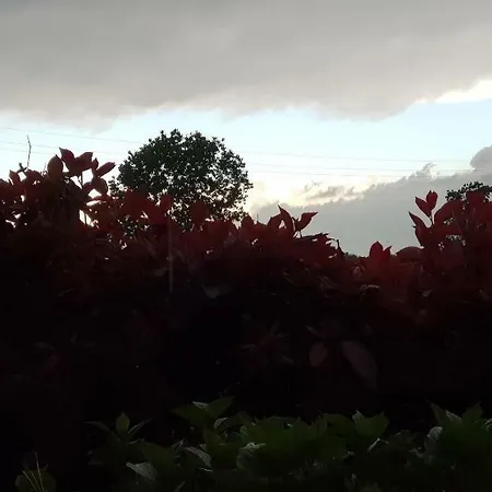 Az.agr.cascina Moretta * Momo