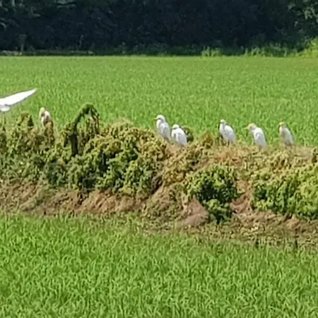 Farma Az.agr.cascina Moretta *