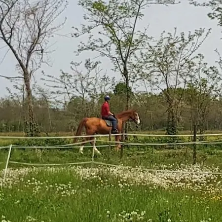 Az.agr.cascina Moretta 팜스테이 Momo