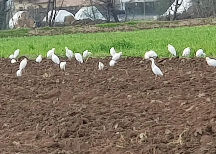 Az.agr.cascina Moretta * Momo