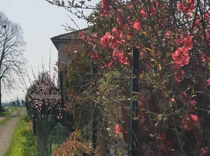 Vakantieboerderij Az.agr.cascina Moretta Momo