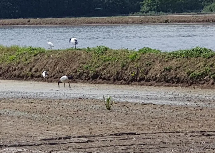 Lantgård Az.agr.cascina Moretta *