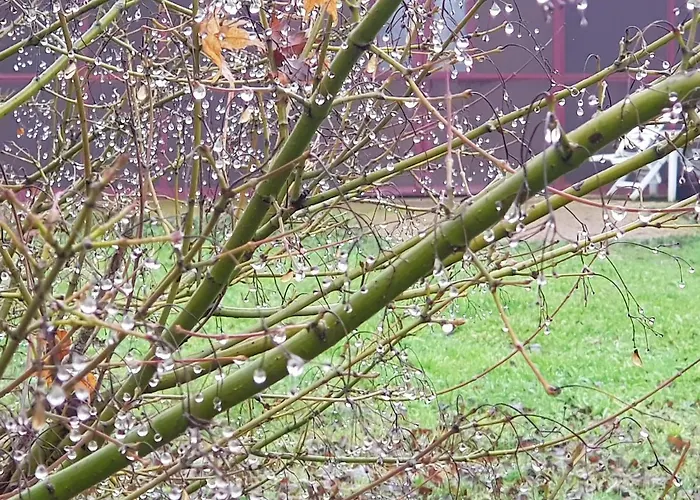 Az.agr.cascina Moretta Lantgård