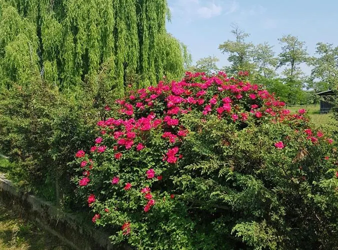 Az.agr.cascina Moretta