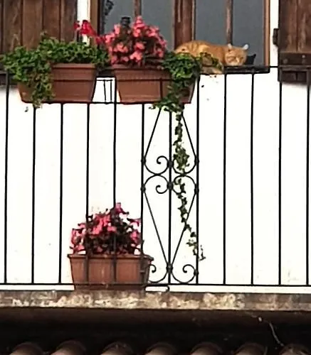 Az.agr.cascina Moretta