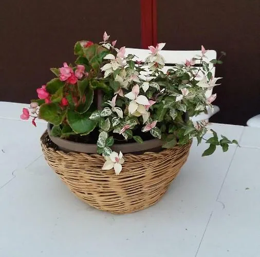 Vakantieboerderij Az.agr.cascina Moretta