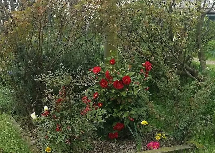 Lantgård Az.agr.cascina Moretta