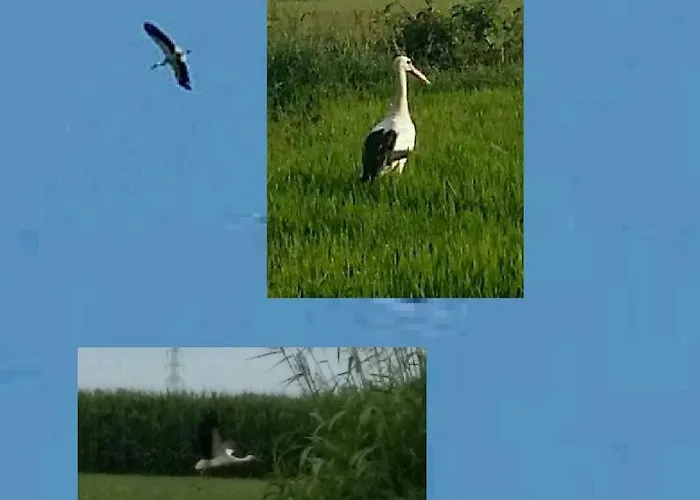 Az.agr.cascina Moretta * Momo