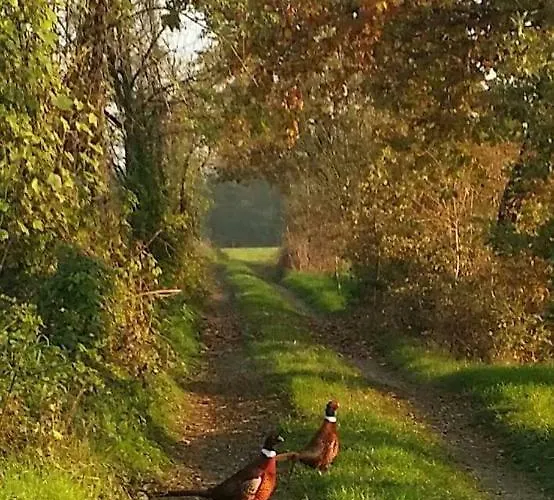 Az.agr.cascina Moretta Lantgård *