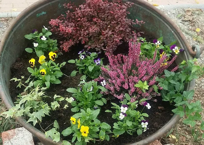 Az.agr.cascina Moretta Lantgård *