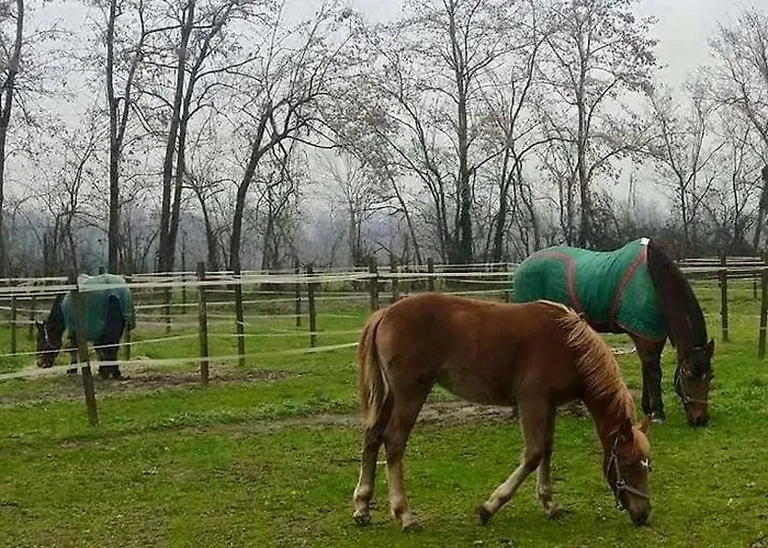 Vakantieboerderij Az.agr.cascina Moretta *