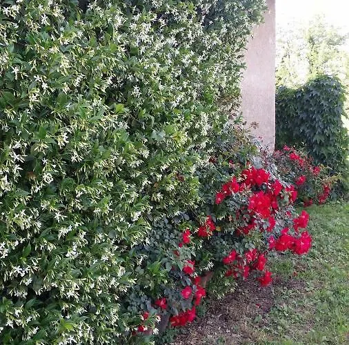 Vakantieboerderij Az.agr.cascina Moretta *