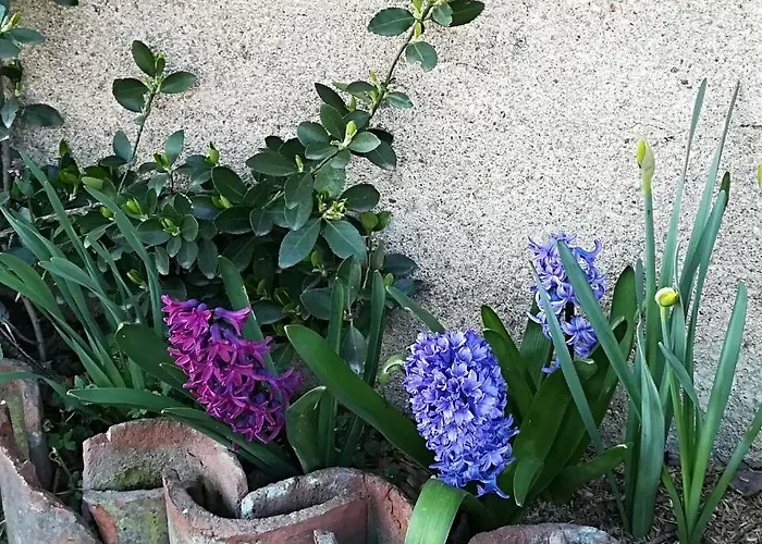 Vakantieboerderij Az.agr.cascina Moretta Momo