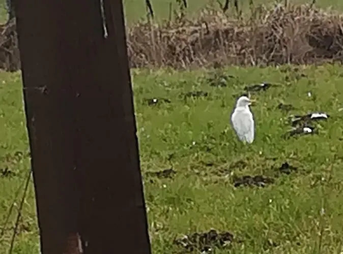 Lantgård Az.agr.cascina Moretta *