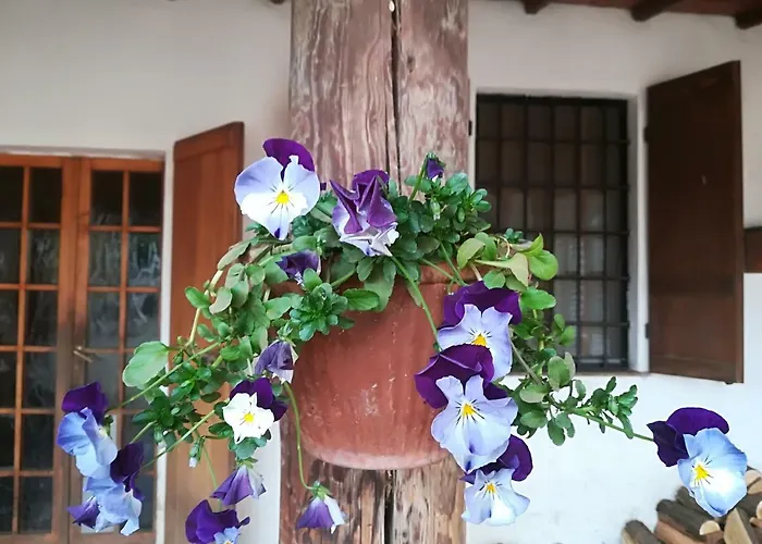 Vakantieboerderij Az.agr.cascina Moretta *