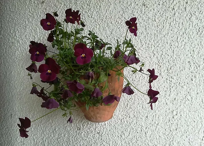 Vakantieboerderij Az.agr.cascina Moretta *