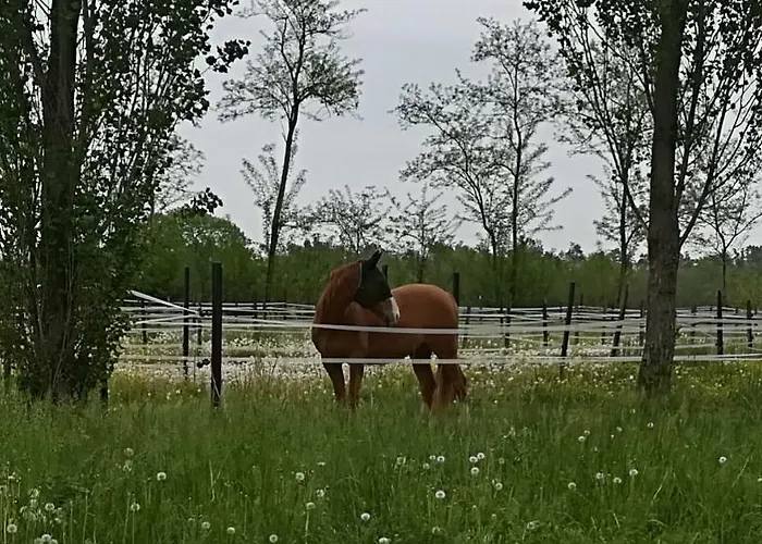 Az.agr.cascina Moretta Vakantieboerderij