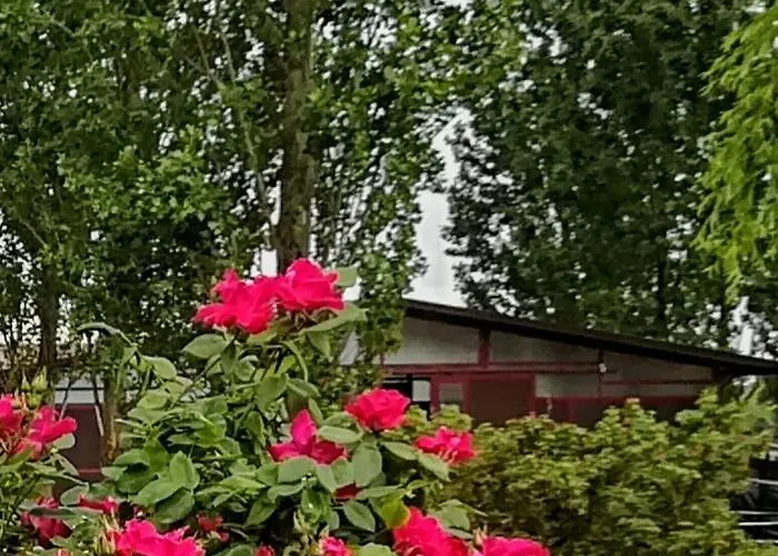 Az.agr.cascina Moretta *