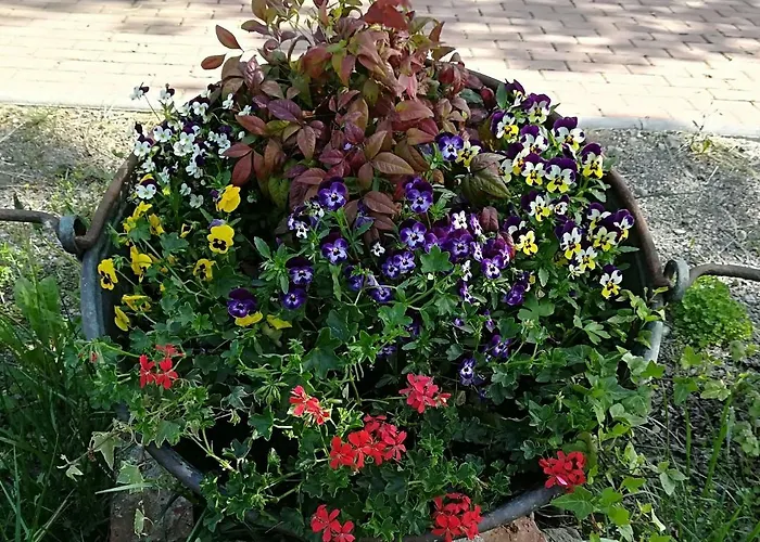 Az.agr.cascina Moretta *