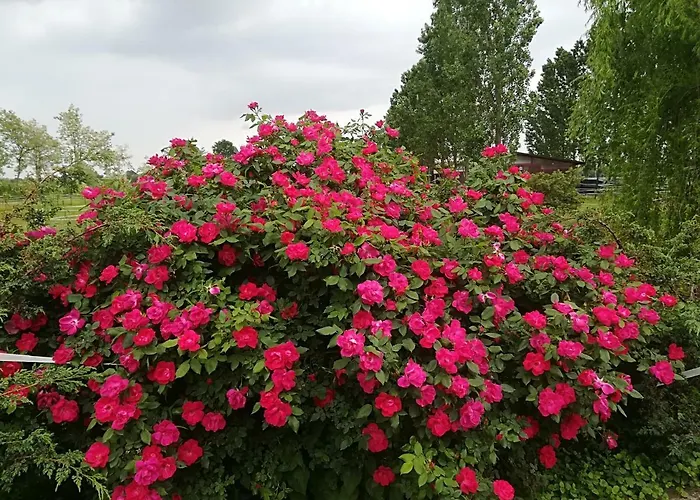 Az.agr.cascina Moretta