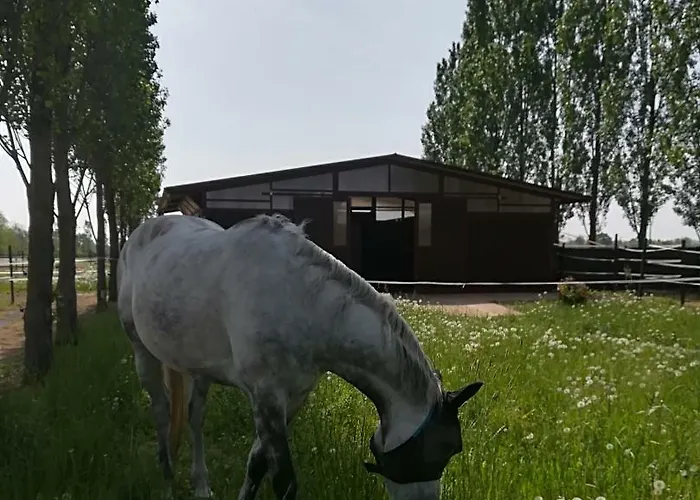 Az.agr.cascina Moretta Vakantieboerderij Momo